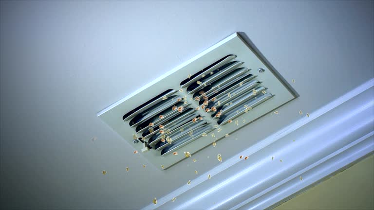 Best Air Vent Cleaning Services  in Somerdale, NJ